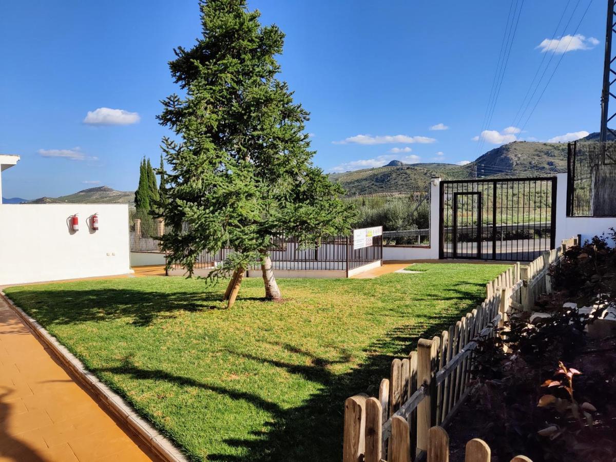 Apartamento Rural Villa Aurora Luque Extérieur photo
